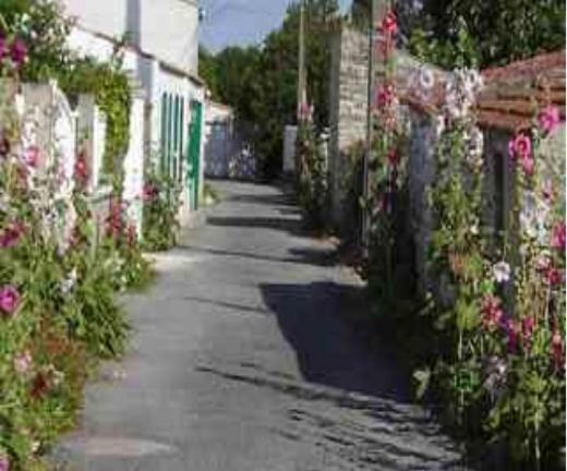 La Maison Du Facteur Saint-Denis-d'Oleron Luaran gambar
